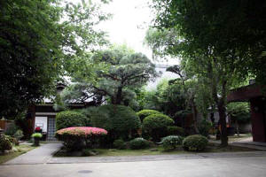 本光寺－１
