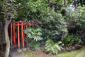 本光寺－８