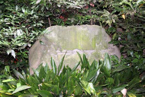 本光寺－９