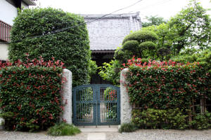 専称寺4
